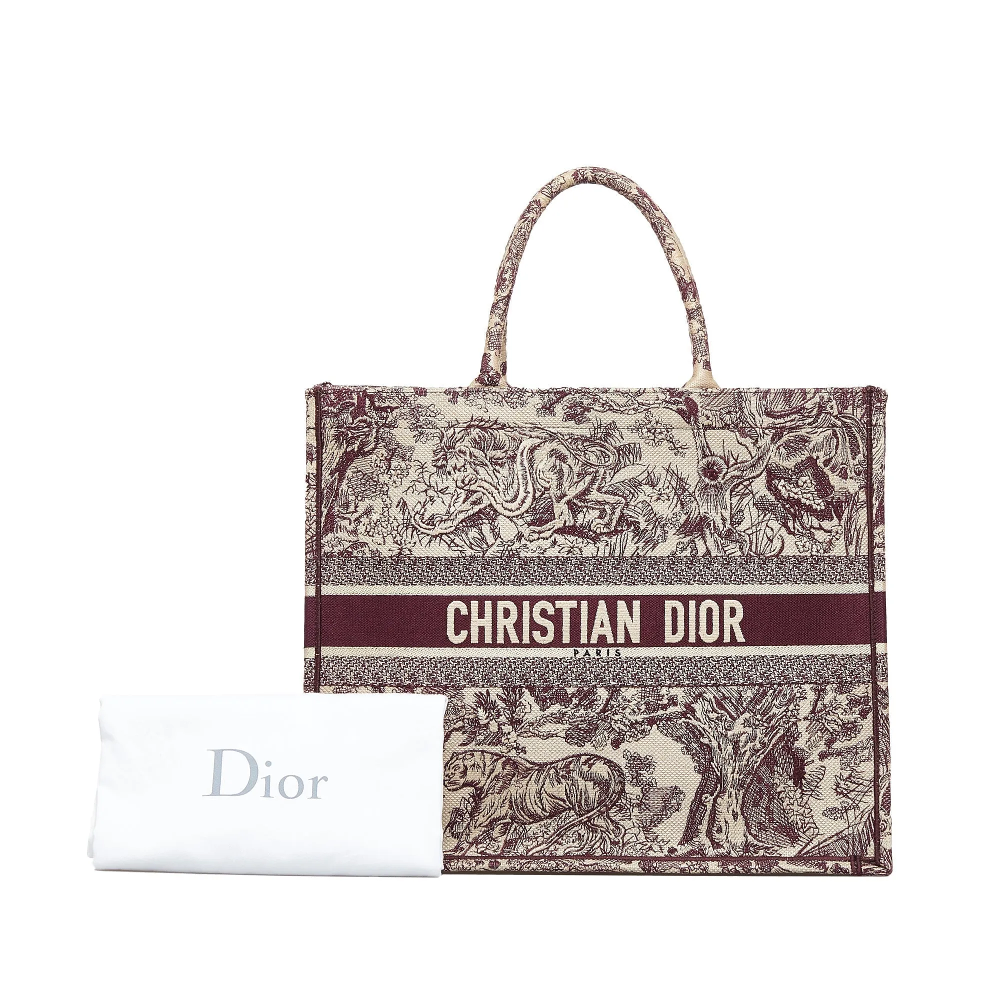 DIOR Large Toile De Jouy Book Tote Tote Bag