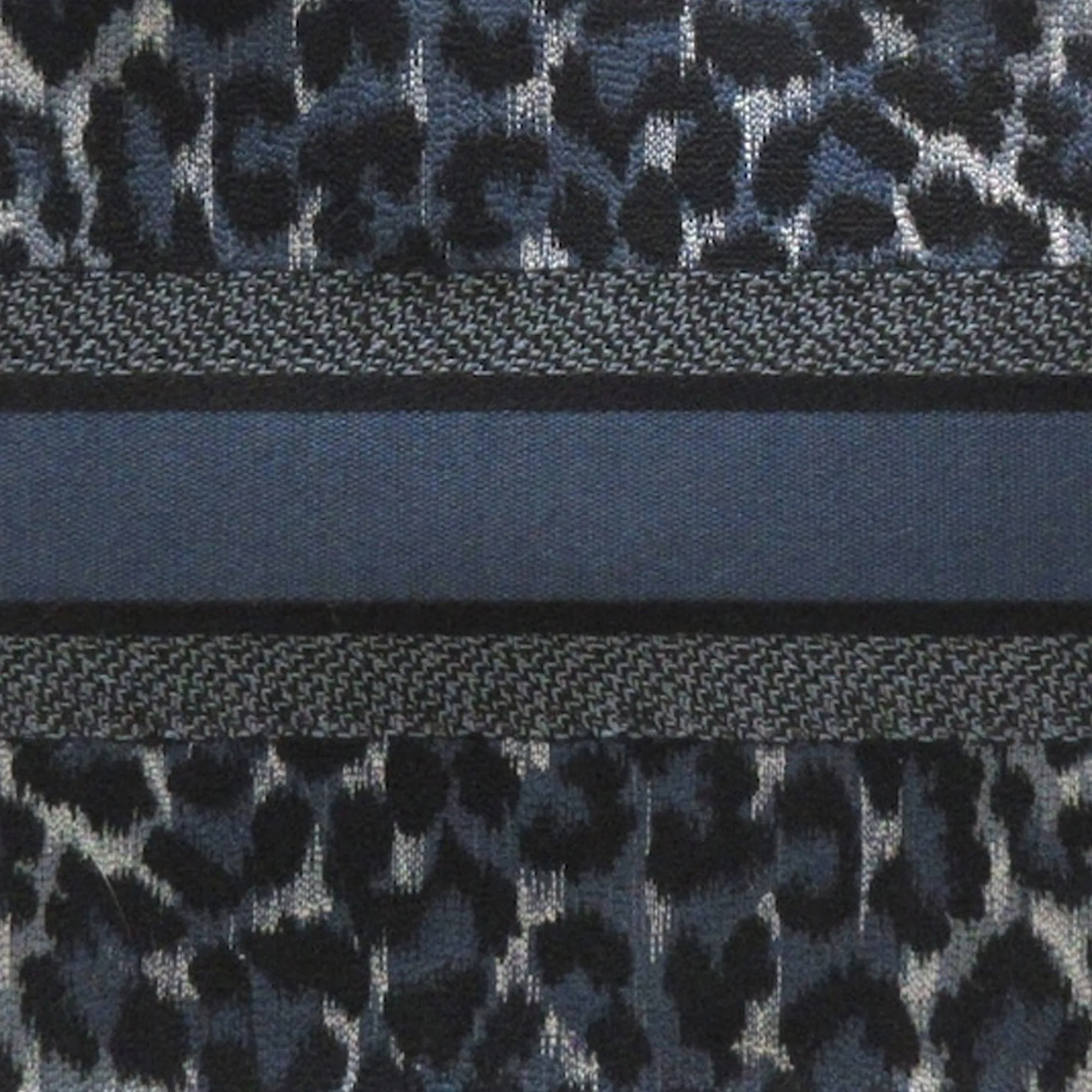 DIOR Medium Leopard Mizza Book Tote Tote Bag