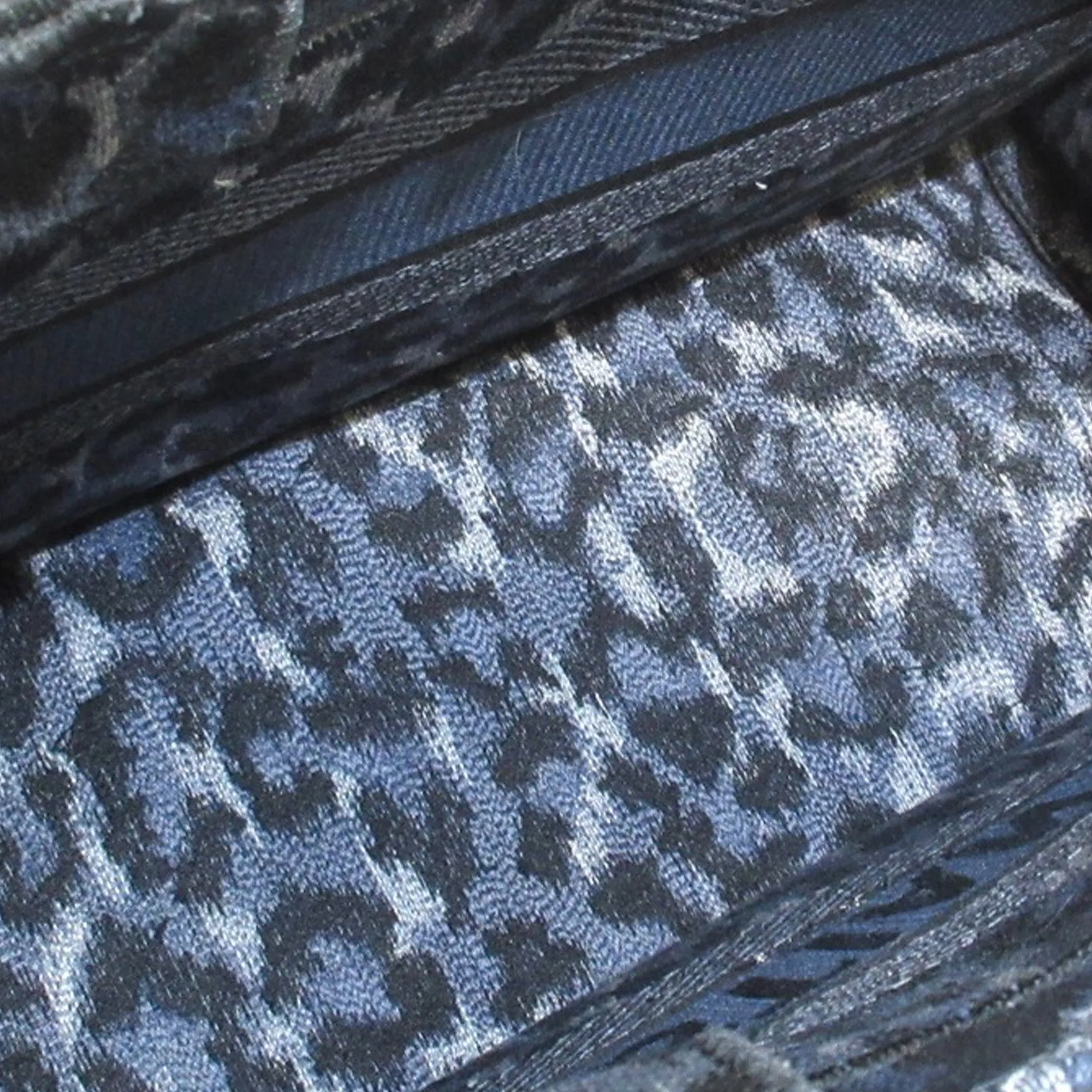 DIOR Medium Leopard Mizza Book Tote Tote Bag