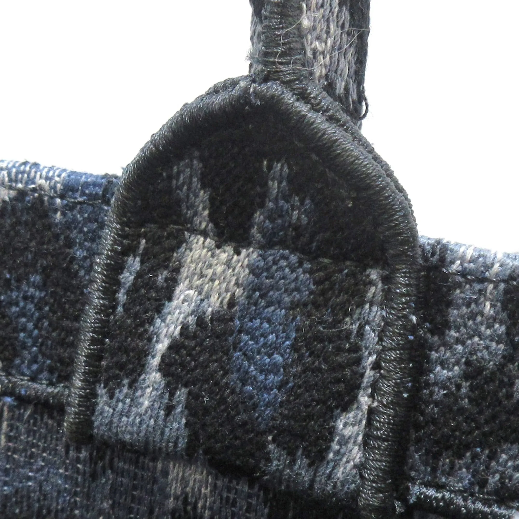 DIOR Medium Leopard Mizza Book Tote Tote Bag
